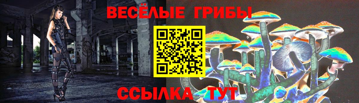 Качканар  Галлюциногенные грибы мухоморы  Вход с VPN 