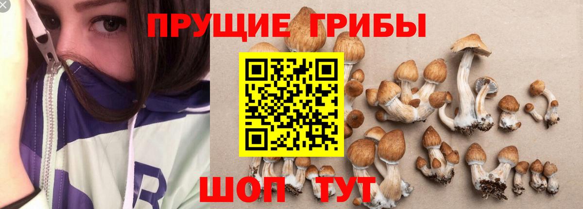 Галлюциногенные грибы Magic Shrooms Качканар